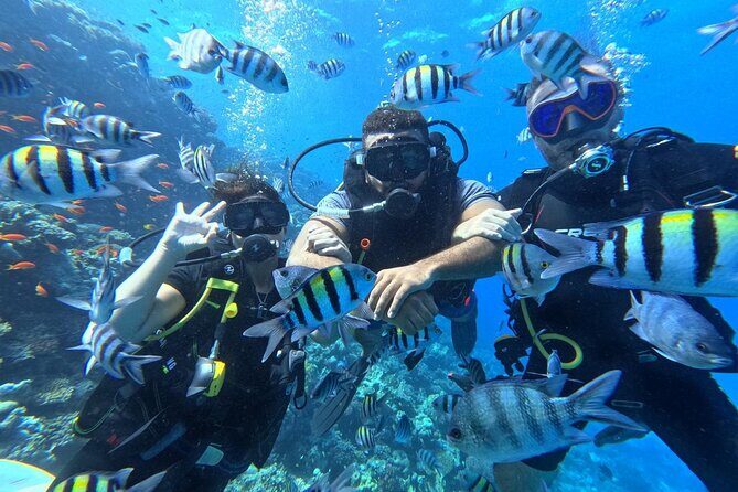Hurghada Diving Adventure one Day with two Dives Boat Trip - Why This Tour Excels According to Travelers