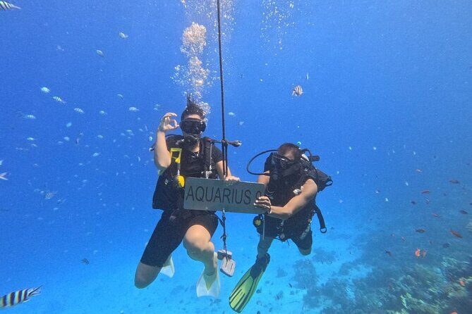 Hurghada Diving Adventure one Day with two Dives Boat Trip - Practical Details and Tips