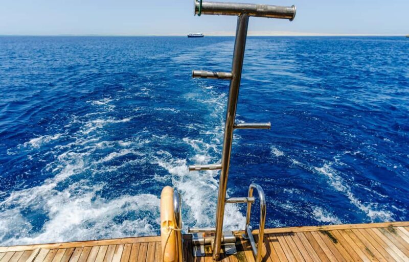 Hurghada: Dolphin & Coral Reef Snorkeling Tour with Lunch - An Overview of What to Expect