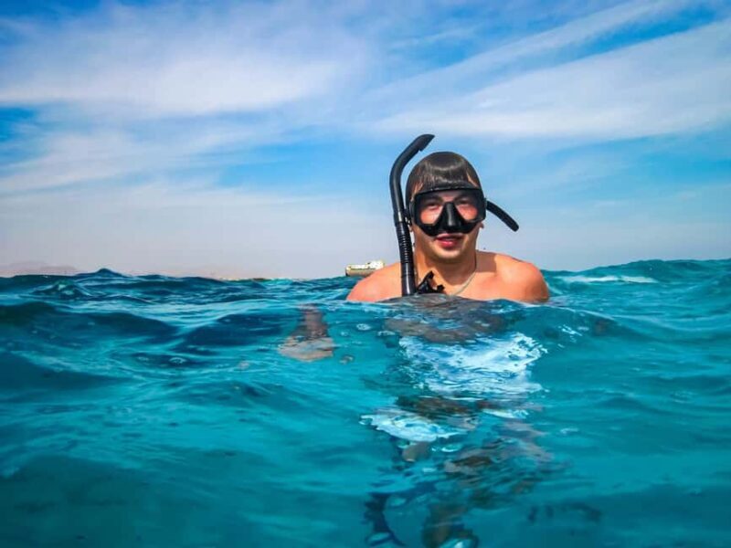 Hurghada: Dolphin & Coral Reef Snorkeling Tour with Lunch - Practical Details: What You Need to Know