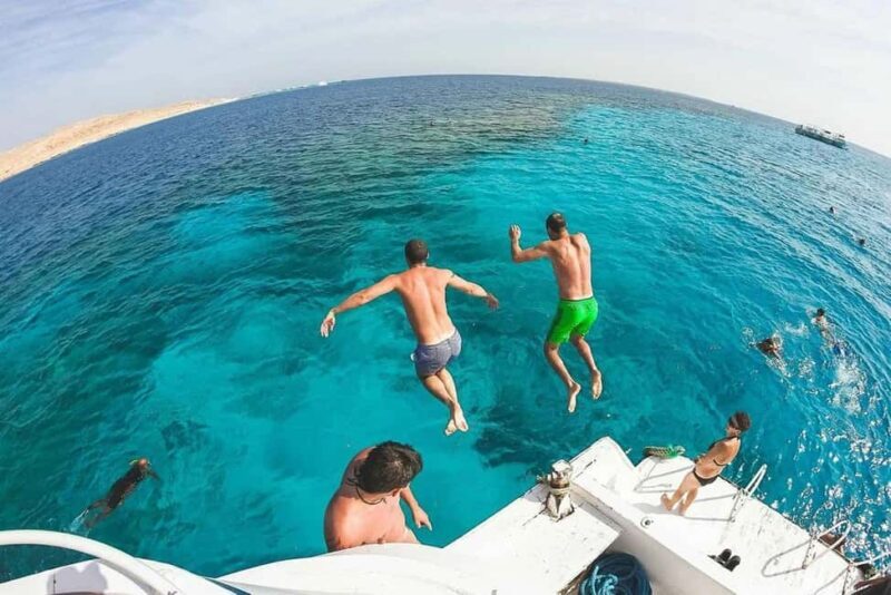 Hurghada: Dolphin & Coral Reef Snorkeling Tour with Lunch - The Sum Up