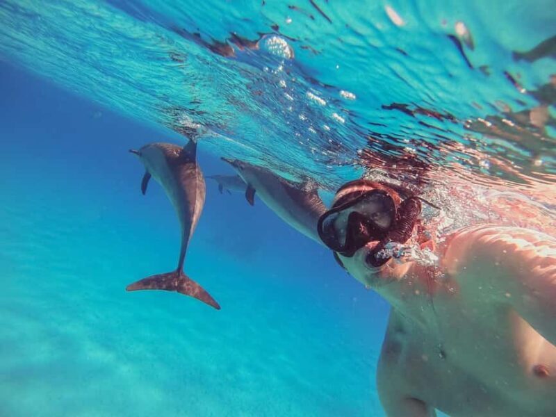 Hurghada: Dolphin Watching Boat Tour with Snorkeling & Lunch - Key Points