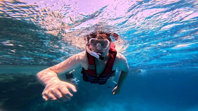 Hurghada: Dolphin Watching Boat Tour with Snorkeling & Lunch - The Sum Up