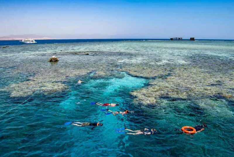 Hurghada: Dolphin Watching Boat Tour with Snorkeling & Lunch - FAQ