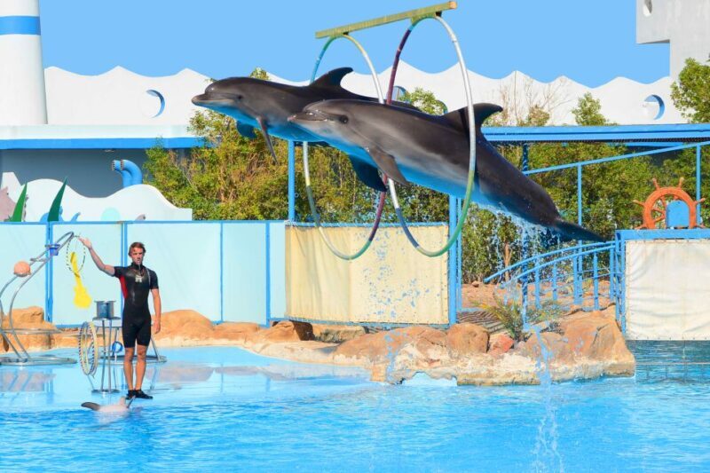 Hurghada: Dolphin World Show with Walruses and Pickup - FAQ