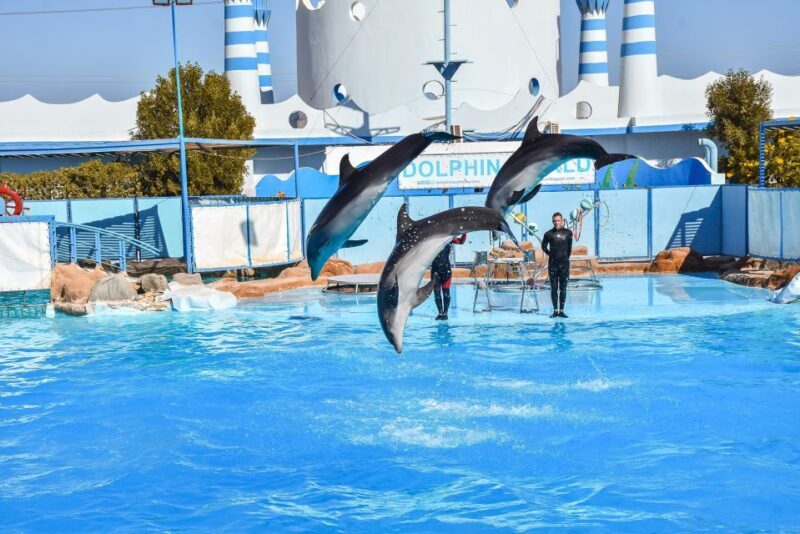 Hurghada: Dolphin World Show with Walruses and Pickup - Final Thoughts