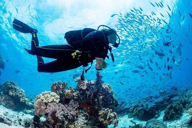 Hurghada: Full-Day Diving Tour with Lunch & Two Dive Sites - FAQ