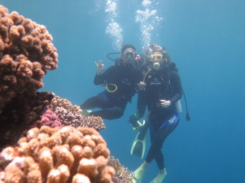 Hurghada: Full-Day Scuba Diving Tour with 2 Sites and Lunch - Authentic Experiences from Travelers