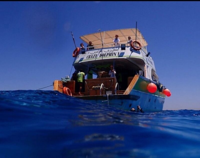 Hurghada: Full-Day Scuba Diving Tour with 2 Sites and Lunch - Who Should Consider This Tour?