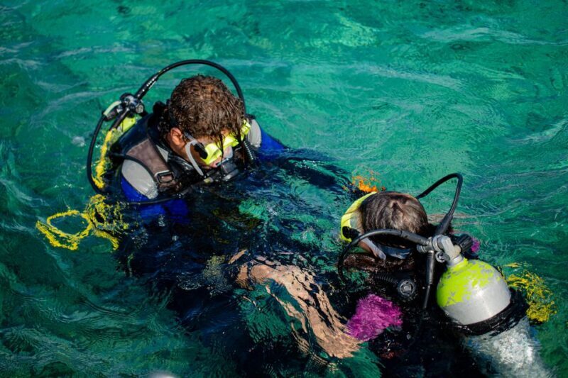 Hurghada: Full-Day Scuba Diving Tour with 2 Sites and Lunch - The Sum Up