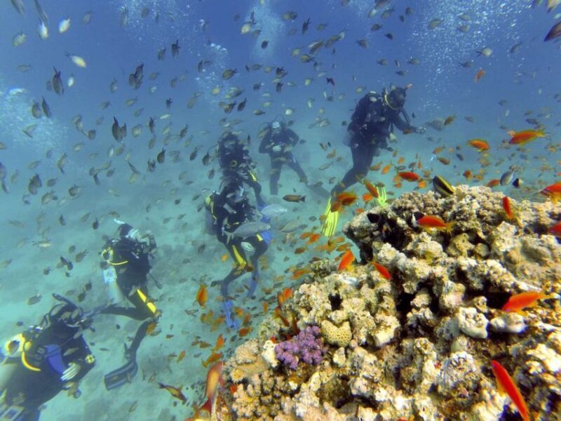 Hurghada: Full-Day Scuba Diving Tour with 2 Sites and Lunch - Frequently Asked Questions
