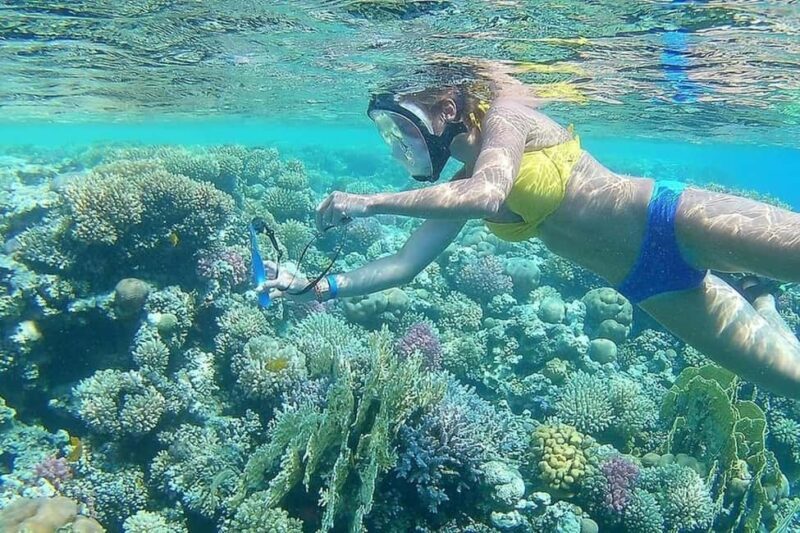 Hurghada: Full-Day Snorkeling Tour in Sharm El Naga w/Lunch - The Value Proposition
