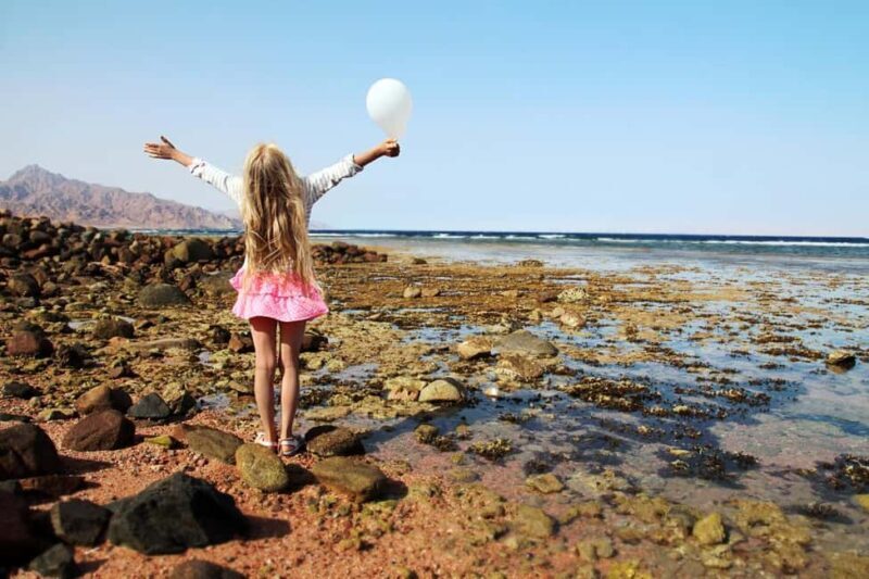 Hurghada: Full-Day Snorkeling Tour in Sharm El Naga w/Lunch - Who Should Consider This Tour?