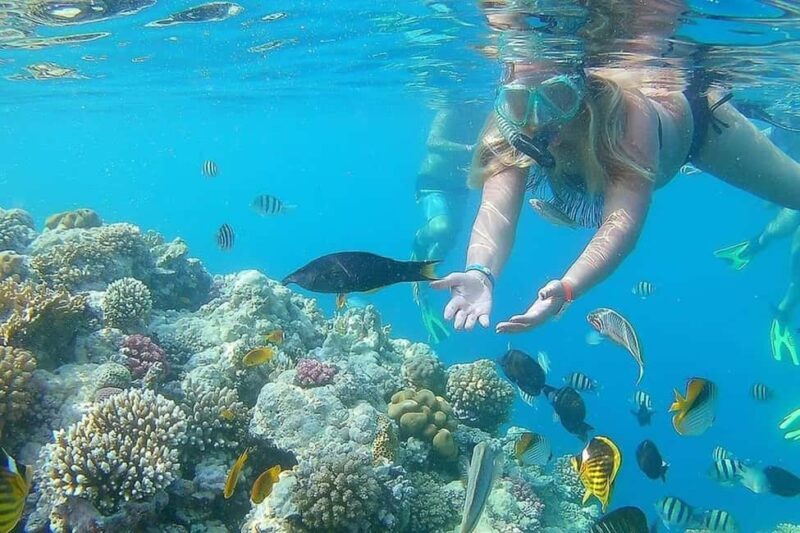 Hurghada: Full-Day Snorkeling Tour in Sharm El Naga w/Lunch - The Sum Up