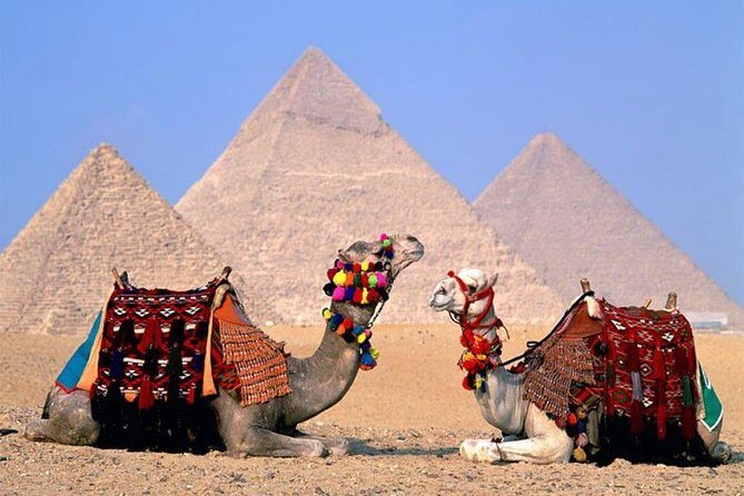 Hurghada: Full-Day Trip to Cairo by Private Car - The Reality of a Long Day: What to Expect