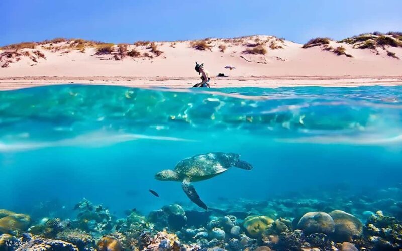 Hurghada: Giftun Island with breakfast, lunch & Water Sports - The Scenic Boat Ride and Snorkeling Stops