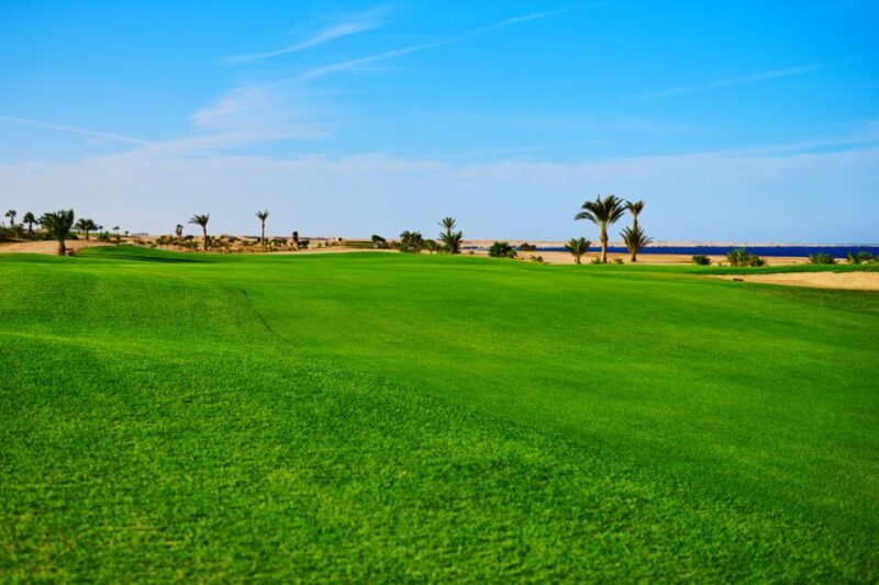 Hurghada: Golfing at the Madinat Makadi Golf Resort - Introduction: A Unique Golf Experience in Hurghada