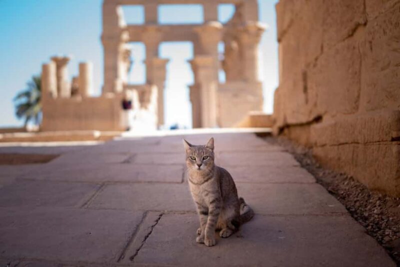 Hurghada: Luxor, Karnak Temple & Valley of the Kings - A Full Day of Ancient Wonders: What to Expect
