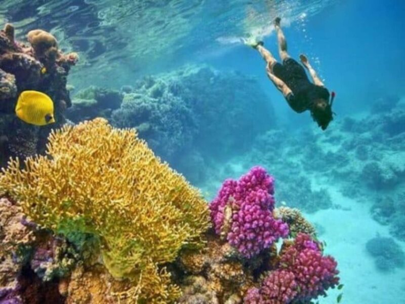 Hurghada: Luxury Private Yacht with Optional Lunch & Drinks - Who Will Love This Tour?