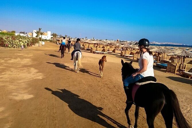 Hurghada: Makadi Water World with Lunch & Transfers - The Water Park: Over 50 Attractions for Everyone