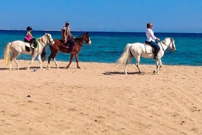 Hurghada: Makadi Water World with Lunch & Transfers - Authenticity and Local Flavor