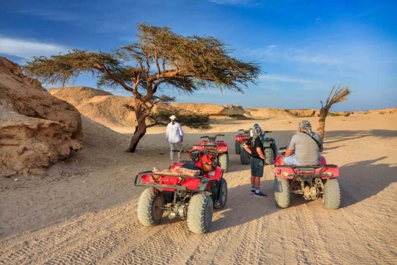 Hurghada: Mega Jeep safari, ATV & Bedouin vibe, and Dinner - Key Points