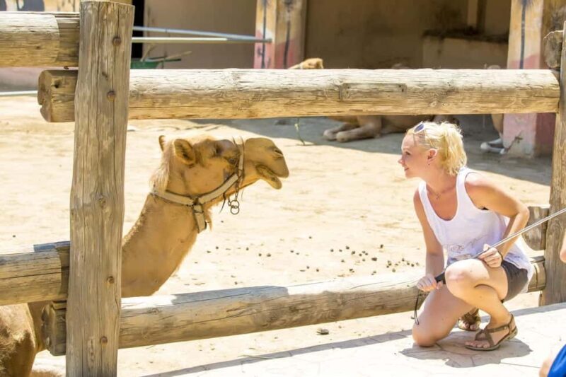 Hurghada: Mega Jeep safari, ATV & Bedouin vibe, and Dinner - FAQs
