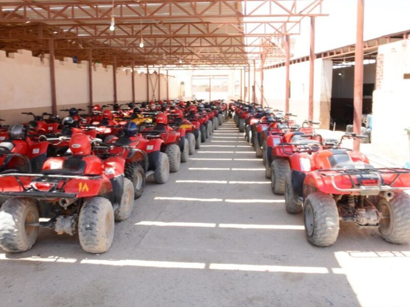 Hurghada: Morning Quad Bike & ATV Adventure Along a Red Sea - An Overview of the Experience
