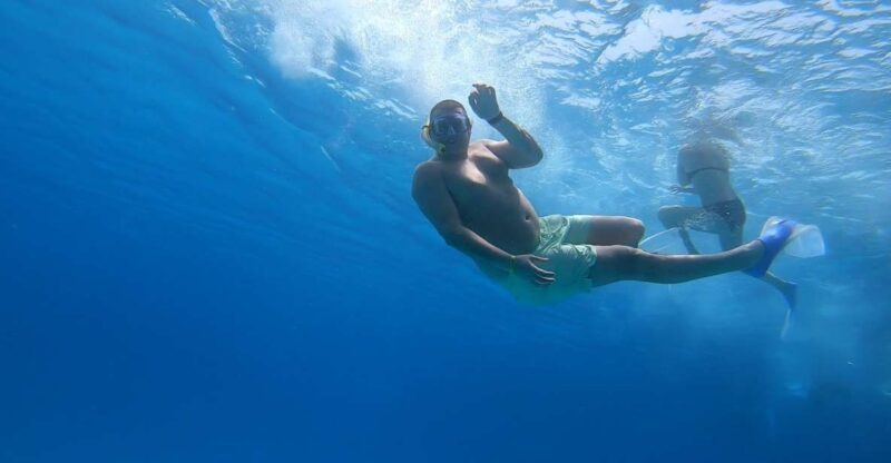 Hurghada or Makadi: Discover the Magic of Dolphin House - The Itinerary: What to Expect on Your Day Out