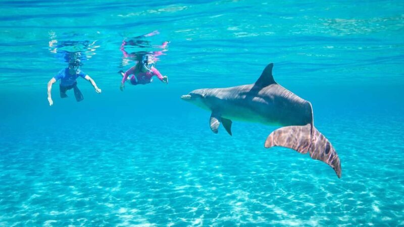 Hurghada or Makadi: Discover the Magic of Dolphin House - Why This Tour Shines