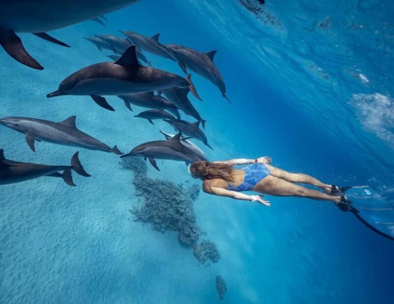 Hurghada or Makadi: Discover the Magic of Dolphin House - Frequently Asked Questions