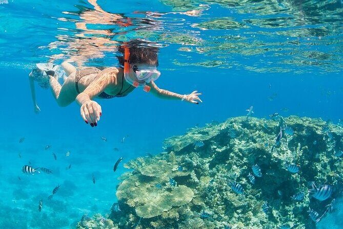 Hurghada Orange Bay boat Trip - The Itinerary: What to Expect on Your Day