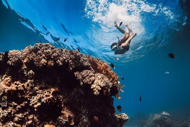 Hurghada Orange Bay boat Trip - The Sum Up: Who Is This Tour Best For?