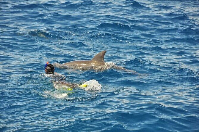 Hurghada: Orange island Snorkeling Trip with Lunch - Practical Details and Considerations