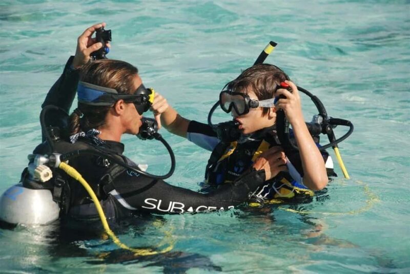 Hurghada: PADI Diving Courses packages - The Learning Experience: From Classroom to Crystal Waters