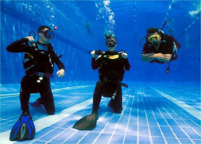 Hurghada: PADI Diving Courses packages - The Underwater World You’ll Discover