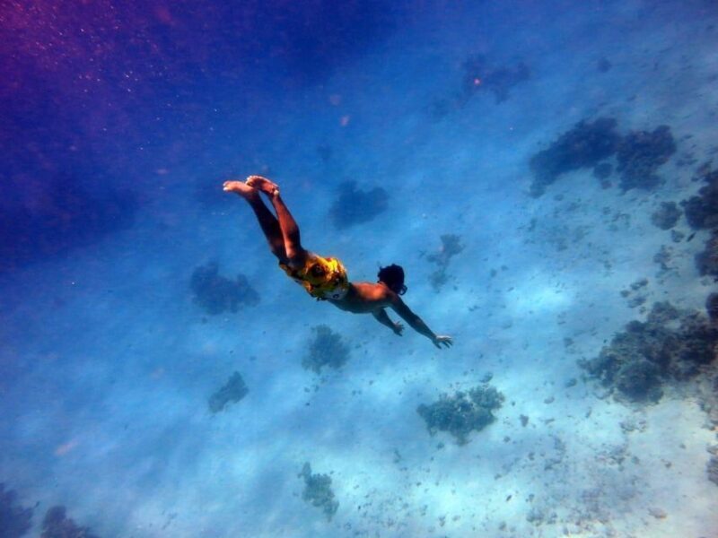 Hurghada: Premium Island Cruise with Lunch and snorkeling - Who Will Love This Experience?