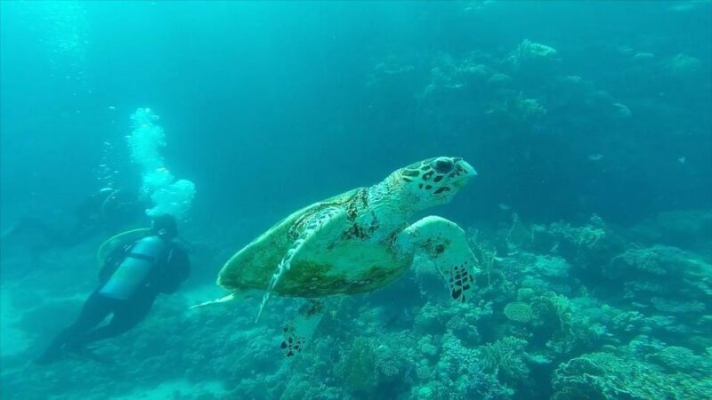 Hurghada: Premium Island Cruise with Lunch and snorkeling - FAQ