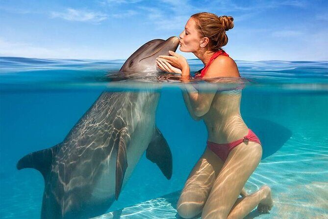 Hurghada: Private 4 Hours Speedboat Dolphin House Snorkling Tour - An In-Depth Look at the Speedboat Snorkeling Experience