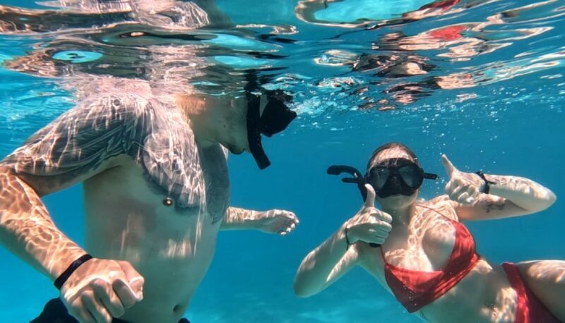 Hurghada: Private Speedboat to Dolphin House with Pickup - What Makes This Tour Valuable