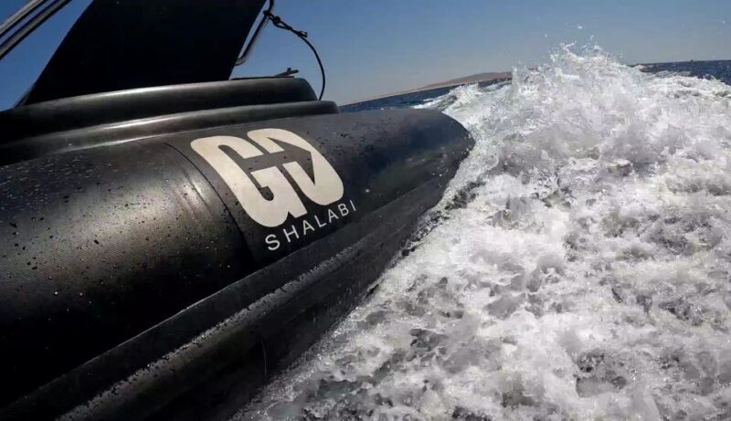 Hurghada: Private Speedboat to Dolphin House with Pickup - Who Will Love This Tour?