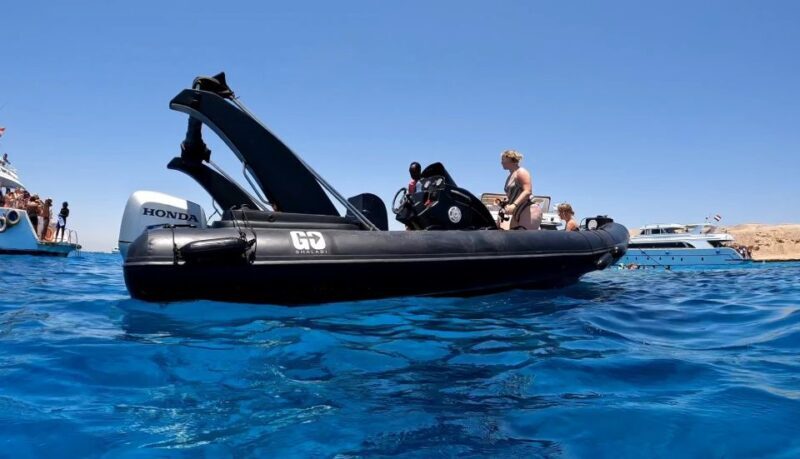 Hurghada: Private Speedboat to Dolphin House with Pickup - FAQ