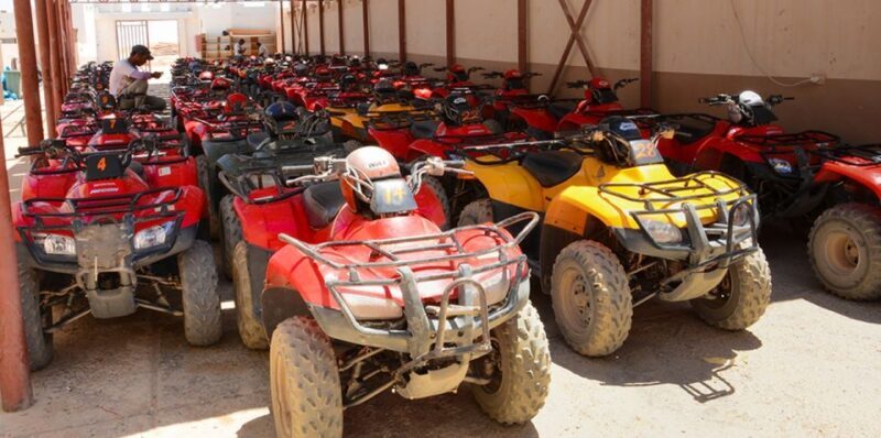 Hurghada: Quad Bike, Camel & Option Dinner, Show, Stargazing - Key Points