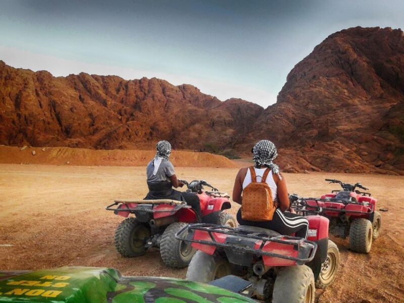 Hurghada: Quad Bike, Sea, Camel, Safari, Stargazing & Dinner - Final Thoughts