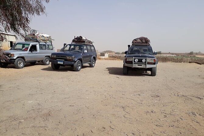 Hurghada, Red Sea sunset desert safari trip by quad bike - What Makes This Tour Stand Out?