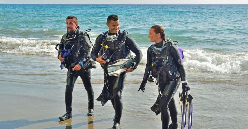 Hurghada- RedSea: Shore Diving with Dolphins and Transfers - Key Points
