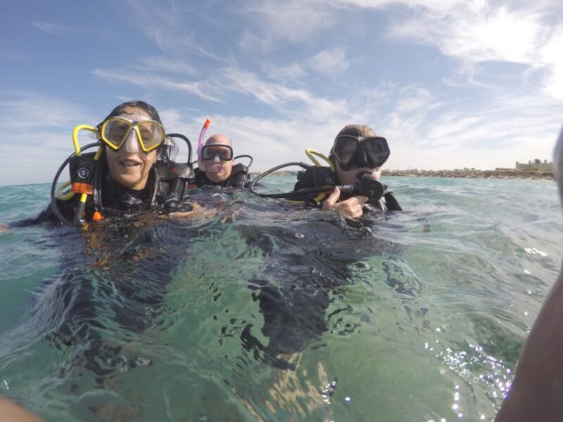 Hurghada- RedSea: Shore Diving with Dolphins and Transfers - The Sum Up: A Practical Choice for Coral Reefs and Dolphin Sightings