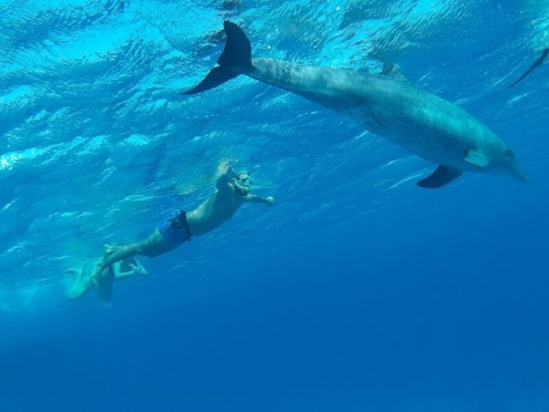Hurghada: Royal Orange Bay w/ Massage, Water Sports & Lunch - FAQ