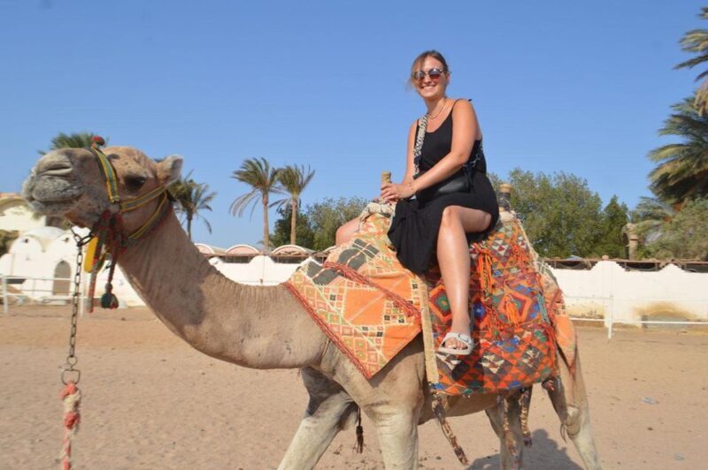 Hurghada: Safari 5*1 Quad, Stargazing, Horse ride w/ Dinner - Transportation and Logistics