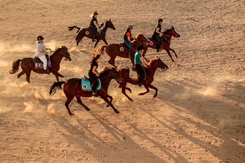 Hurghada: Safari 5*1 Quad, Stargazing, Horse ride w/ Dinner - Who Should Book This Tour?